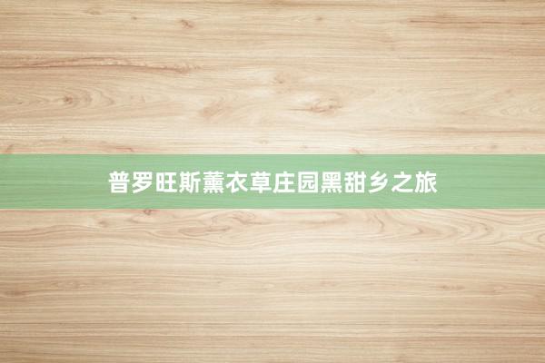 普罗旺斯薰衣草庄园黑甜乡之旅