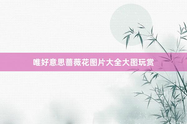 唯好意思蔷薇花图片大全大图玩赏