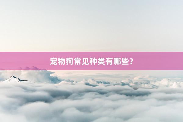 宠物狗常见种类有哪些？